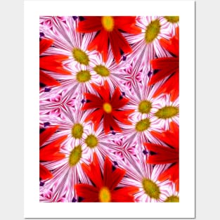 Beautiful Red Aster Patterns Posters and Art